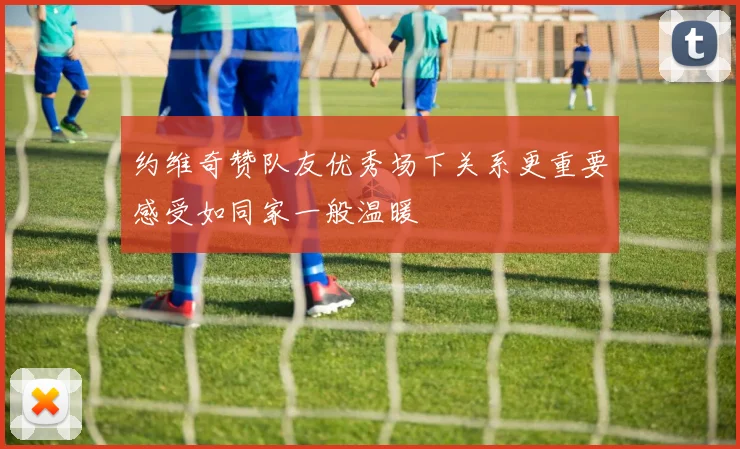 约维奇赞队友优秀场下关系更重要感受如同家一般温暖
