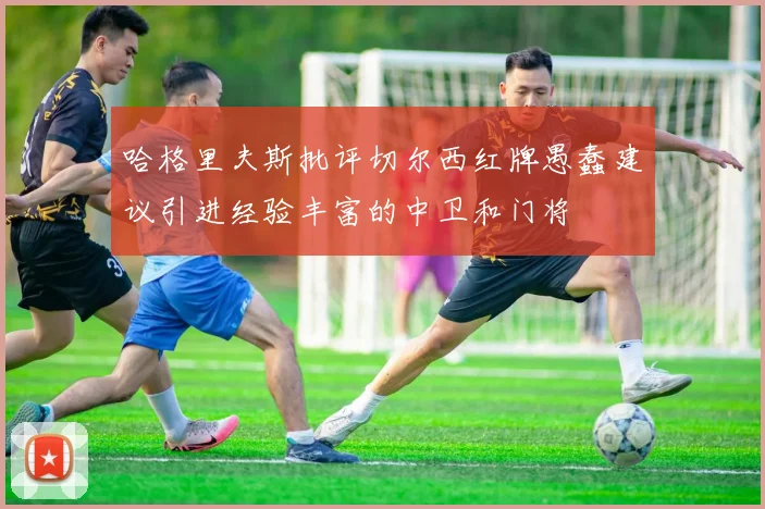 哈格里夫斯批评切尔西红牌愚蠢建议引进经验丰富的中卫和门将