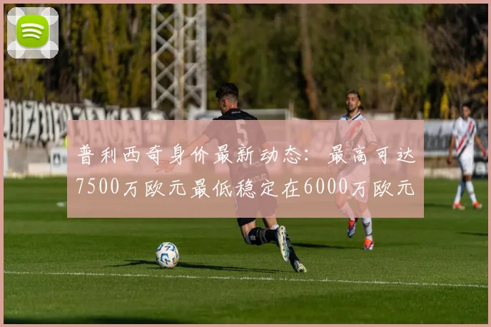普利西奇身价最新动态：最高可达7500万欧元最低稳定在6000万欧元