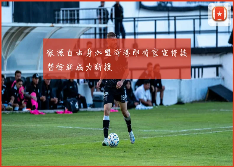 张源自由身加盟海港即将官宣将接替徐新成为新援