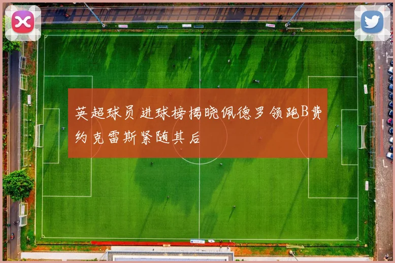 英超球员进球榜揭晓佩德罗领跑B费约克雷斯紧随其后